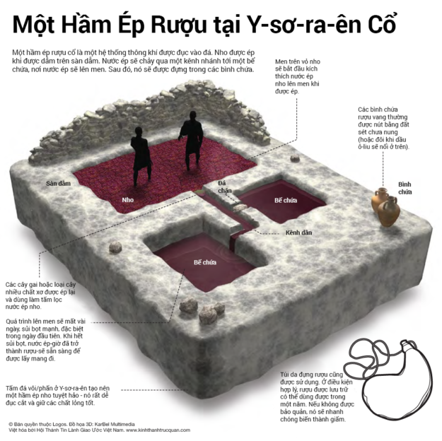 021-Mot-ham-ep-ruou-tai-Ysorael-co-1