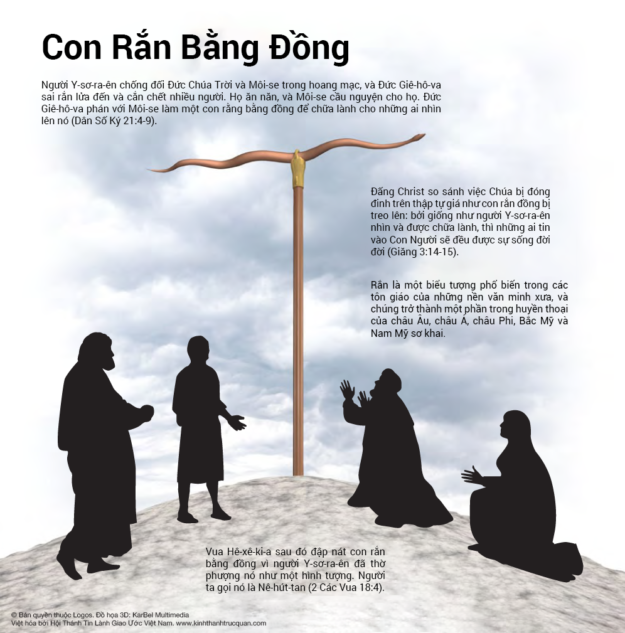 037-con-ran-bang-dong-1